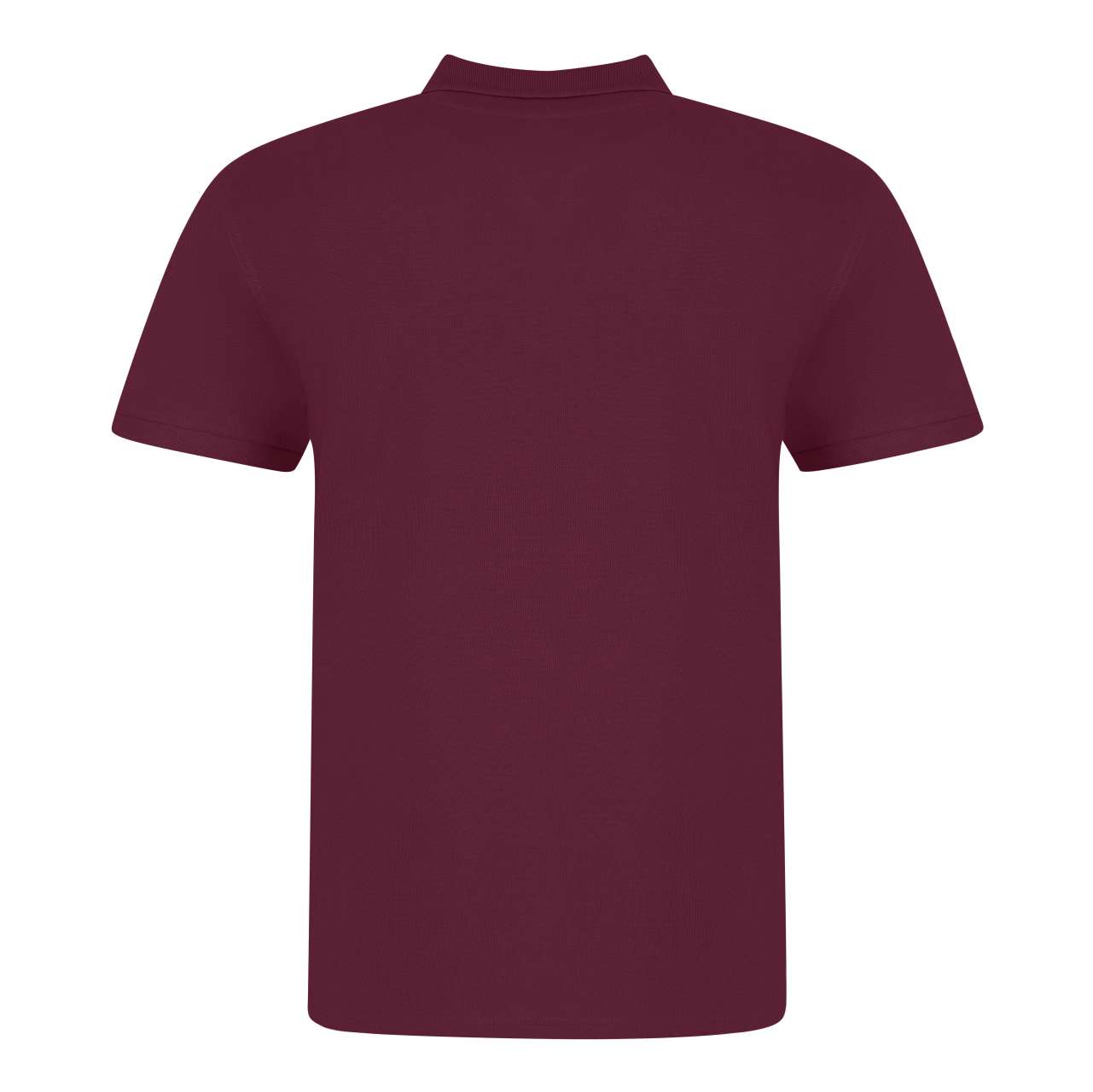 THE 100 POLO - Image 5