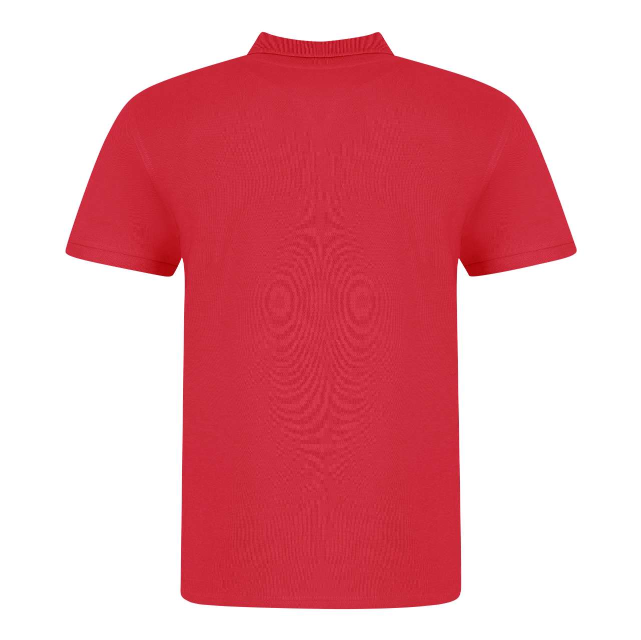 THE 100 POLO - Image 2