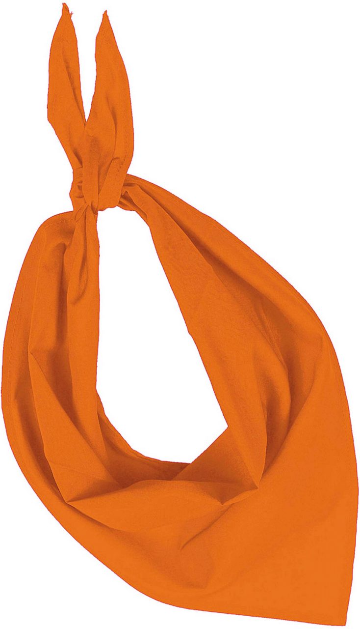 FIESTA - BANDANA - Image 7