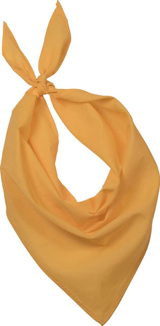 FIESTA - BANDANA - Image 2