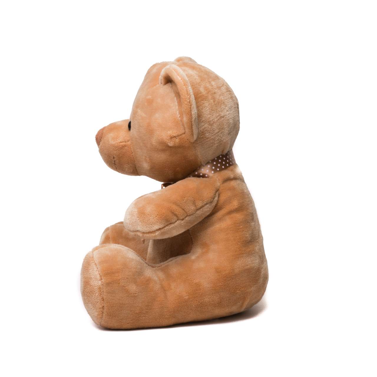 VELVET BEAR - Image 5