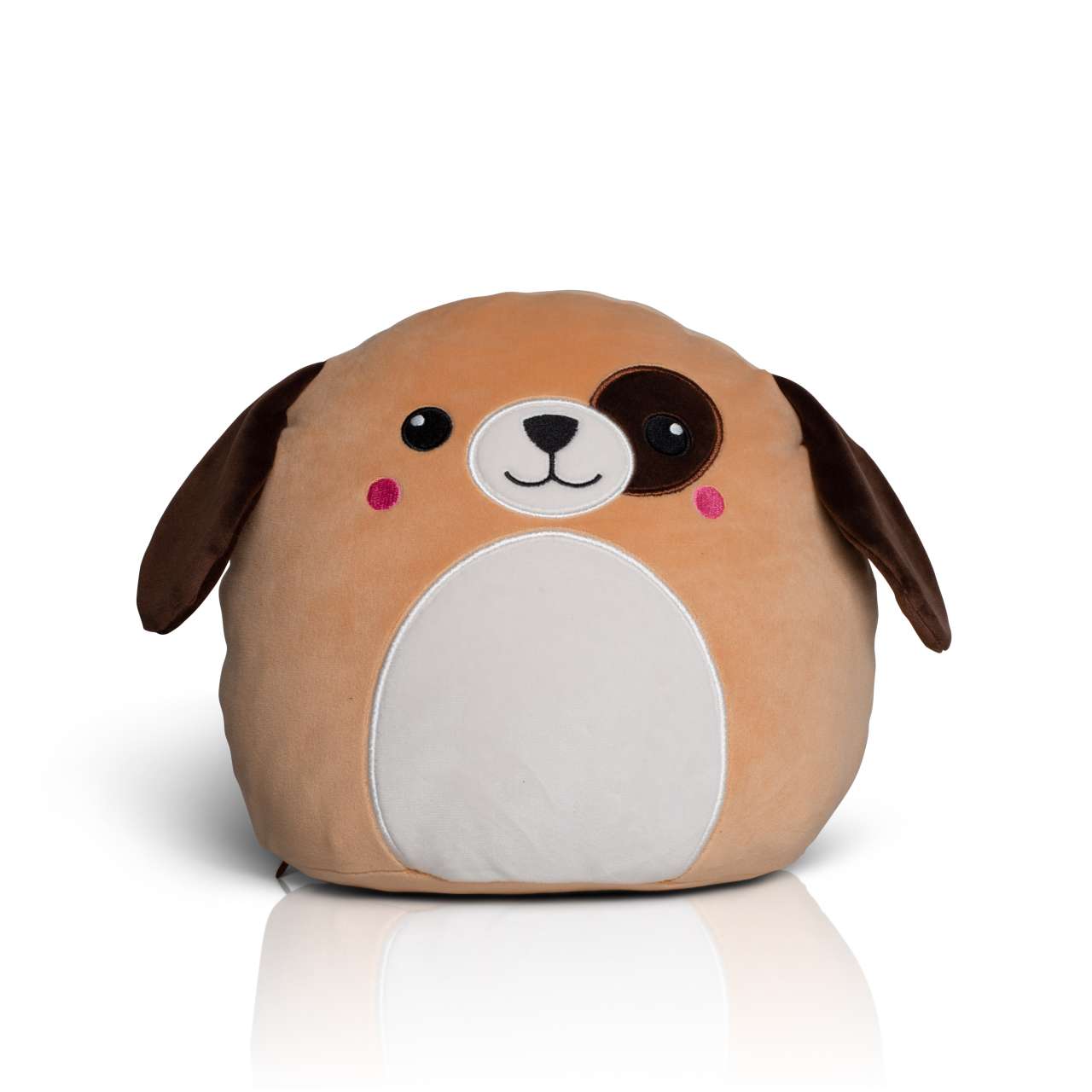 SQUIDGY'S - Image 6